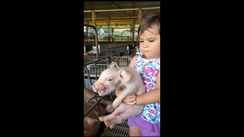 Baby Tried to Carried a Baby Pig🐖 🤣🤣🤣