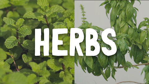 How To Grow ~ Herbs