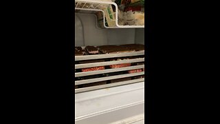 Ice cream sandwiches in the freezer