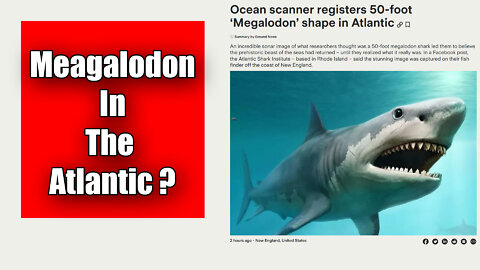 Did Researchers Just Discover An Ancient Megalodon ?