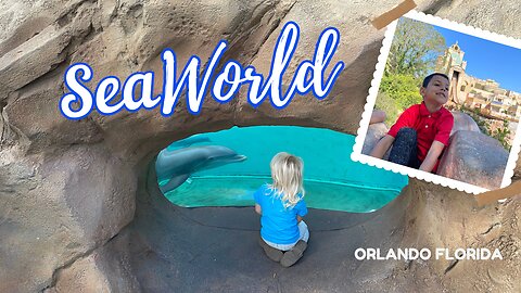 SeaWorld Orlando Tour: An Unforgettable Journey Under the Sea! Tour 2023
