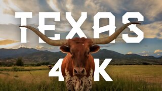 Texas 4K Video UHD | Texas 4K UHD | Dallas 4K Video | Austin 4K UHD | Houston 4k UHD