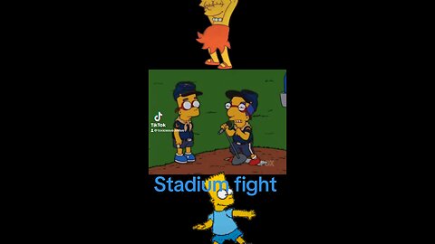 Stadium fight