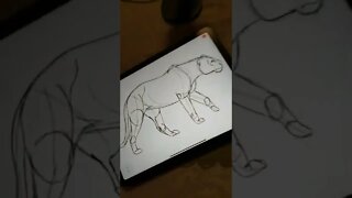 How to draw female Lion? 🦁 - Daily Art nr.97🖌️