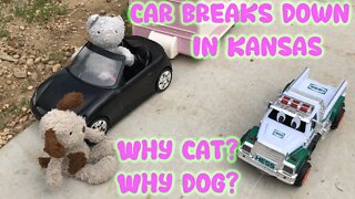 Cat and Dog Break Down in Kansas