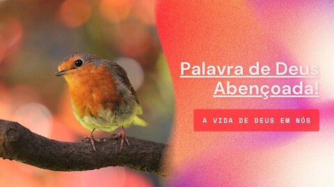 Palavra da Tarde Abençoada — A Vida de Deus em Nós