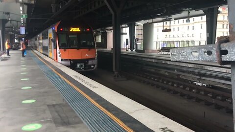 NSW trains vlogs 21circular quay