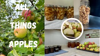 Steaming Apples for Juice, Apple Butter from Applesauce, Freeze Drying , Canning Apple Pie Filling