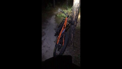 Whippoorwill on a night ride