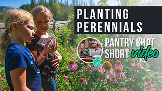 Planting Perennials | Pantry Chat Podcast SHORT