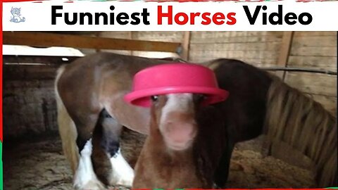 The Funniest Horses Video 🤣 Best Compilation! #3