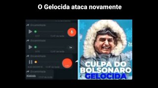 Bolsonaro Gelocida 😂