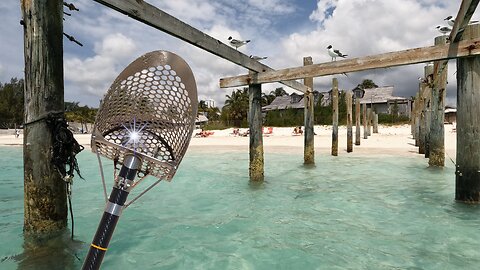 Metal Detecting the Bahamas for Treasure