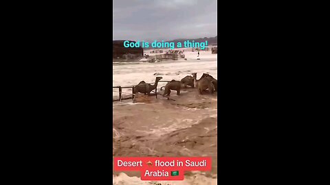Scary Duabi Floods