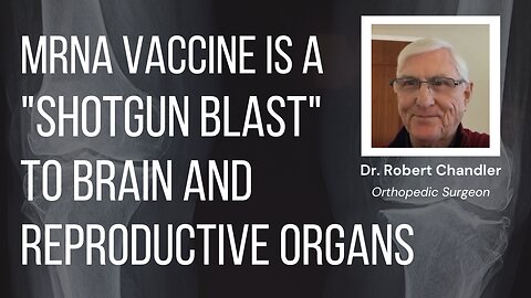 MRNA Vaccine is a "Shotgun Blast" to Brain and Reproductive Organs