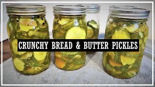 Crunchy Bread & Butter Pickles//Pickle Recipe//Sweet Pickles//Sweet and Spicy Pickles