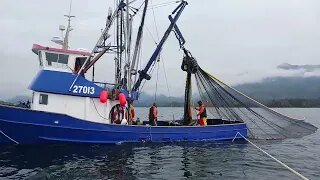 Commercial Fishing For Salmon Purse Seining Southeast Alaska