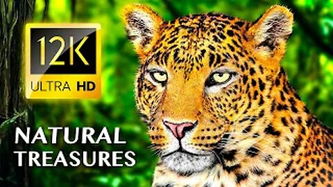 Earth's Most Breathtaking Natural Treasures 12K ULTRA HD