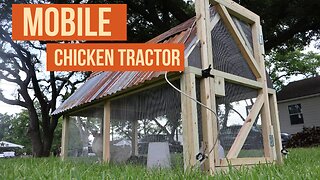 Building A Mobile Chicken Tractor for Our Backyard HOMESTEAD
