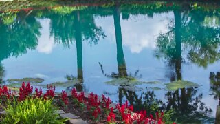 Blue Spring in Eureka Springs, Arkansas