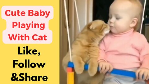 "Adorable Baby's Heartwarming Playtime with Furry Feline Friend"