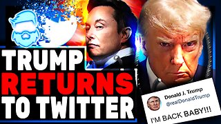 Donald Trump RETURNS To Twitter & HILARIOUSLY Trolls Leftists With Mugshot Merch! Elon Musk Joins In