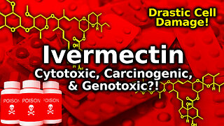 Ivermectin Is Cytotoxic & Genotoxic (Damages Cells & DNA) & Maybe Carcinogenic, Studies Show!🚨