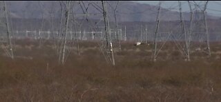 Small plane crashes in Boulder City