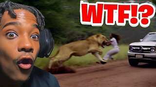 When Animals Go On A Rampage!! | Vince Reacts