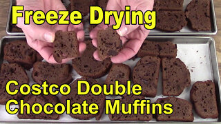 Don't Fear Chocolate: Freeze Drying Chocolate Chunk Muffins and Chocolate Chip Cookies