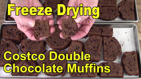Don't Fear Chocolate: Freeze Drying Chocolate Chunk Muffins and Chocolate Chip Cookies