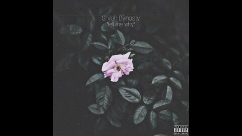 Shiloh Dynasty - tell me why