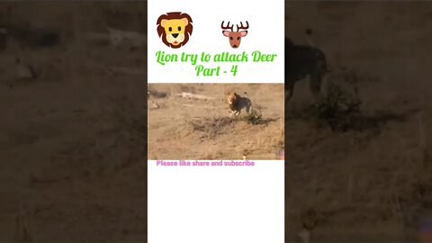 Lion try to attack Deer 🦌 part -4#shorts #youtubeshorts #shortvideo