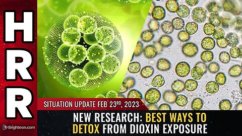Feb 23, 2023 - New research: Best ways to DETOX from DIOXIN exposure