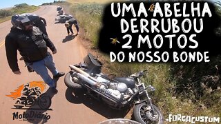 Uma ABELHA DERRUBOU 2 MOTOS do nosso BONDE