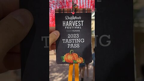 Top 5 Dollywood Harvest Festival Foods | Is The Tasting Pass Worth It?