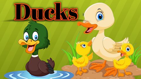 Lovely Ducks