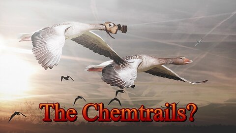 What about the Chemtrails?