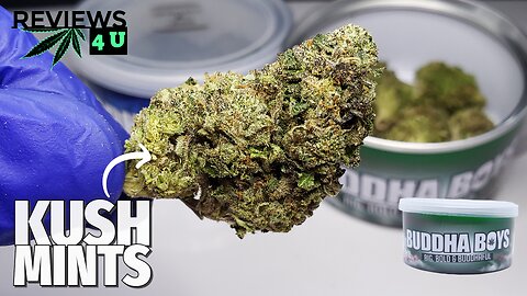 KUSH MINTS AAAA (STRAIN REVIEW) | REVIEWS 4 U