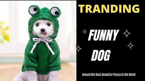 Funny Dog Hoodie, Dog Sweater Cute Apple Banana Frog Shape