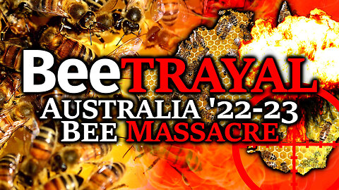 The Great Australian Bee Massacre: Government KILLS 500 Million Bees & POISONS Untold More In Wild