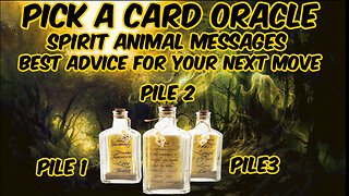 Pick A Card Oracle Reading -Timeless Messages From Your Spirit Animal Guides - Best Advice 🐺🐻🐴🐢