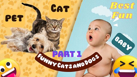Funniest Animals 😂 Funny Cats and Dogs 2023 😺🐶 Part 1