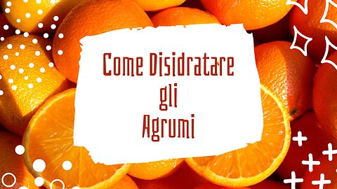 Come disidratare gli agrumi