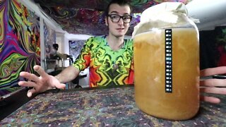 Kombucha Brew #1 Day 7! 2-3 More Days Before Flavoring