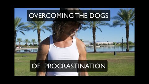 Overcoming the Dogs of Procrastination