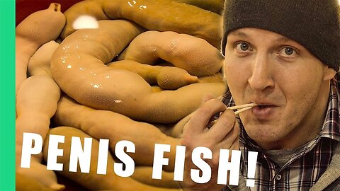 Penis Fish (개불) - South Korea [Best Ever Food Review Show]