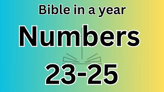 Numbers 23-25