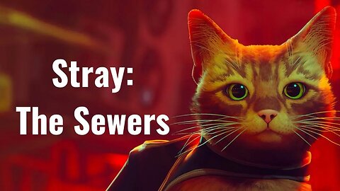 Stray Chapter 8 The Sewers: Descend into the Depths of Mystery