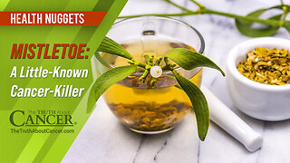The Truth About Cancer: Health Nugget 71 - Mistletoe: A Little-Known Cancer-Killer